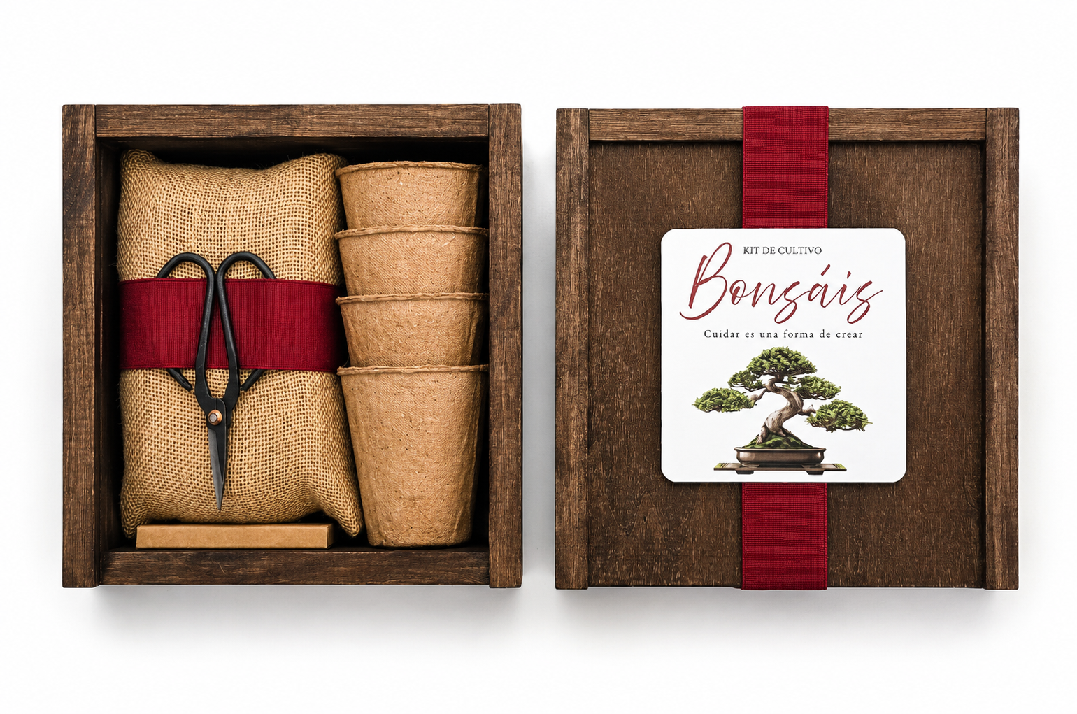 Caja Botanica Bonsái