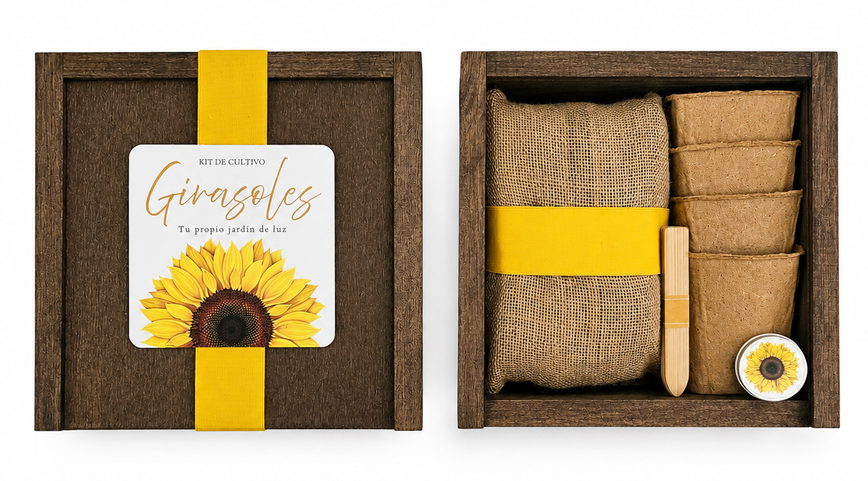 Caja Botánica Girasoles BOMBA SEMILLAS HUERTA FLORES AROMATICAS